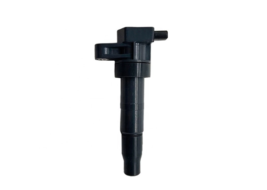 igniter coil
