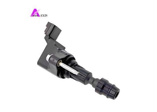igniter coil