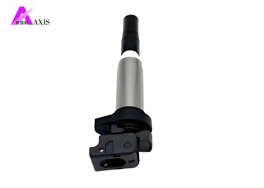 igniter coil