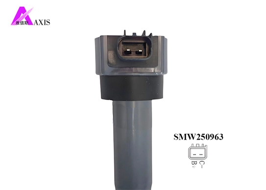 igniter coil