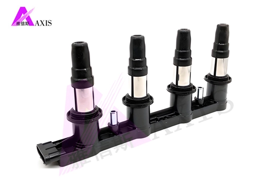 spark plugs and coil pack