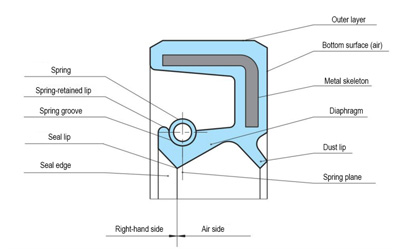 What are the differences between TC, SC, TF, and SF oil seals?