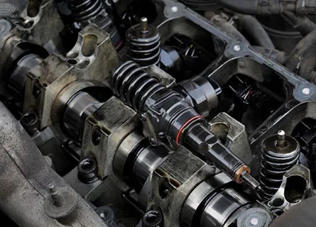 Engine & Fuel System O-Rings